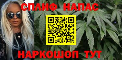 гашик Анжеро-Судженск