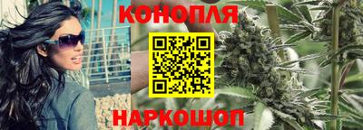 гашик Анжеро-Судженск